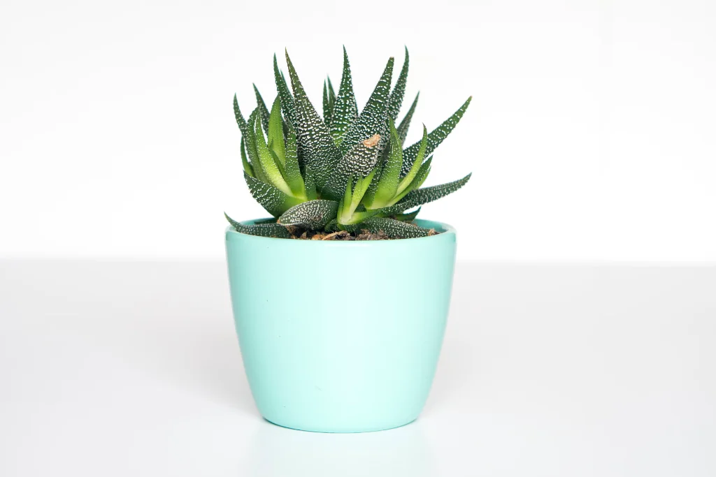 Financial Restructuring